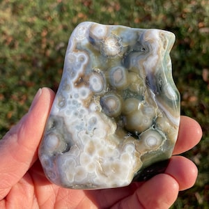 Fully Polished Ocean Jasper End Cut