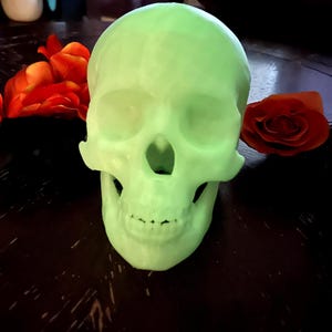 Human Skull Statue | 3D Printed | Custom Art