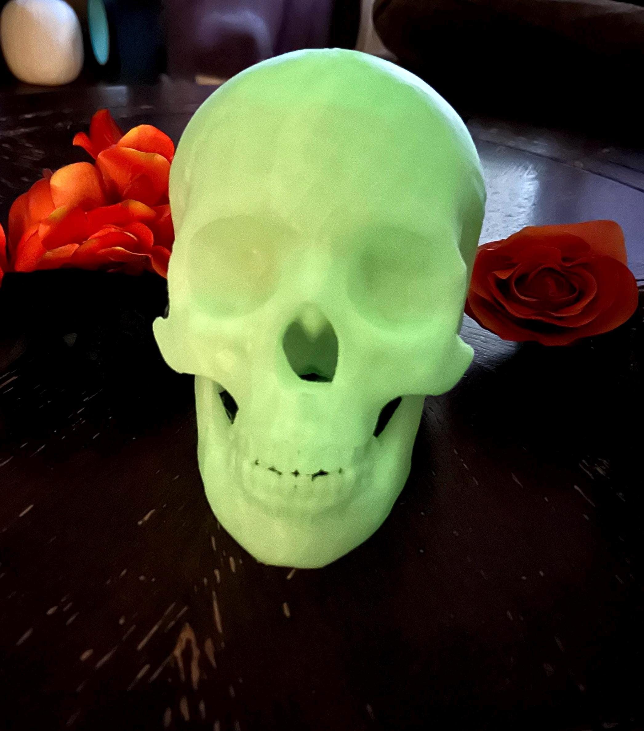 Human Skull Light - Etsy