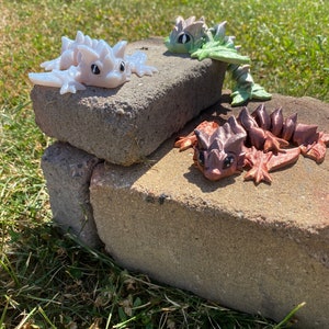Wyvern | Articulating Fidgets| Decorative Toy