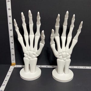 Może przedstawiać: Dwa białe, przegubowe modele dłoni szkieletu, każdy zamontowany na okrągłej podstawie. Dłonie są ustawione z wyciągniętymi palcami. Obok dłoni umieszczono miarkę, wskazującą wysokość około 20 cm.