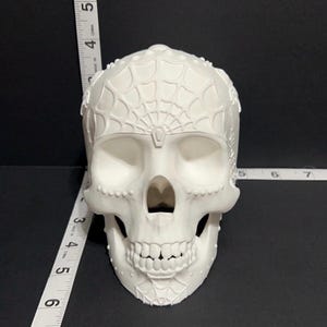 May include: A white decorative skull with intricate web-like detailing on the forehead and around the jawline. The skull is approximately 5 inches tall, with a detailed depiction of teeth and eye sockets. The design is a unique piece for Halloween or gothic decor.