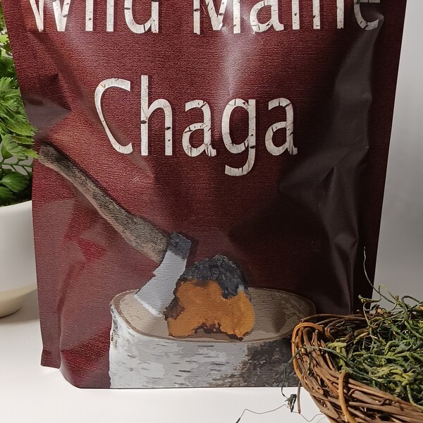 Wild Maine Chaga Mushroom Chunks 1LB - Freshly Harvested & Dried Natural Healing Organic Remedy for Immune Support Wellness 100% Authentic