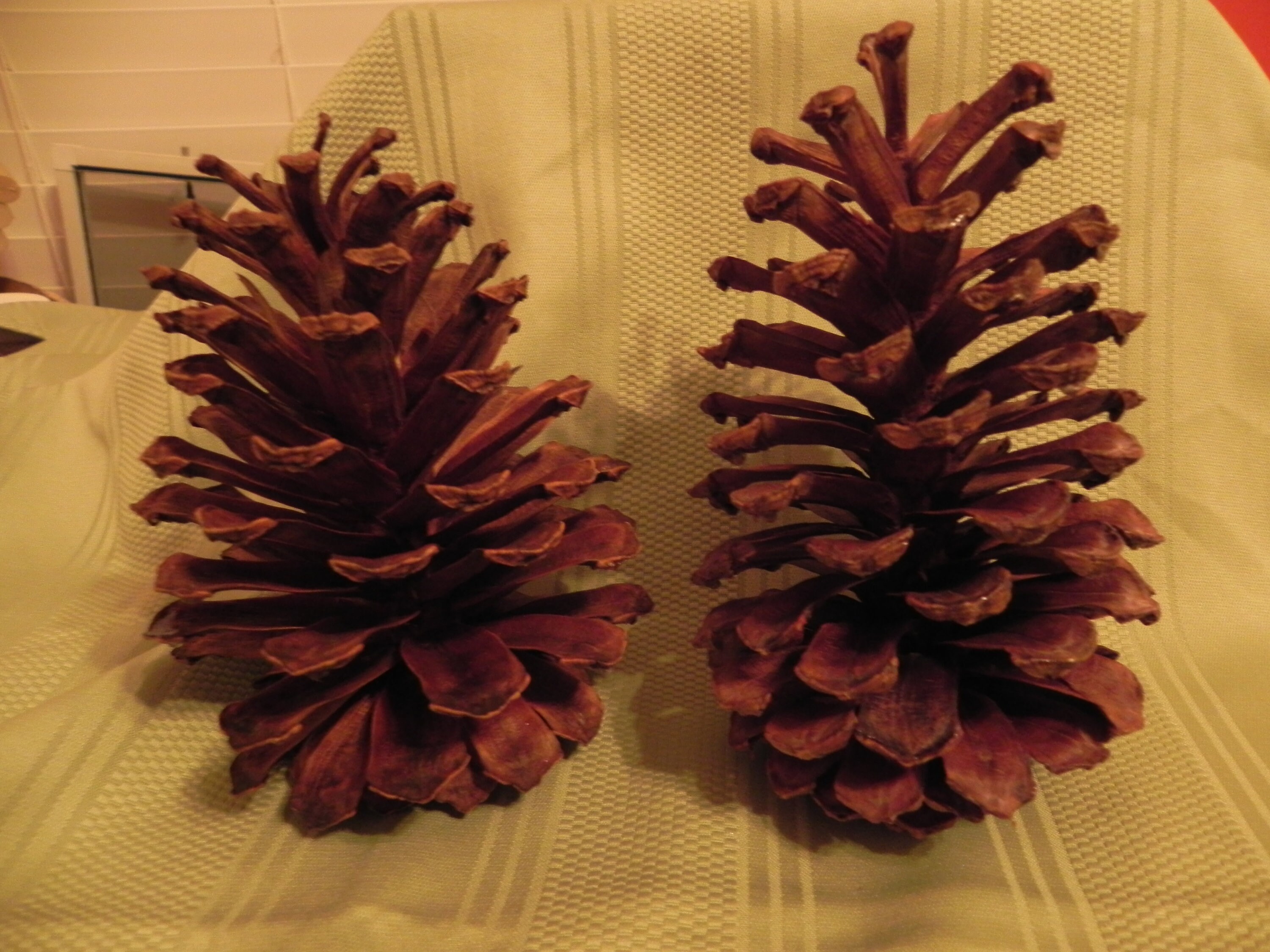 Valentine Spikey Pinecone Like Heart Shaped Wreath