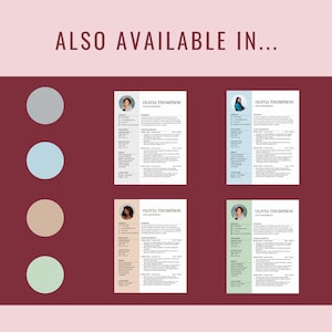 Puede incluir: Cuatro variaciones de color diferentes de una plantilla de curr&iacute;culum. La plantilla incluye una foto, informaci&oacute;n de contacto, habilidades, experiencia laboral, educaci&oacute;n e idiomas. Los colores son gris, azul claro, beige y verde claro.