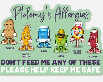 Custom Food Allergy Stickers for Lunch Boxes labels school children allergy medical alert personalized stickers daycare labels childcare