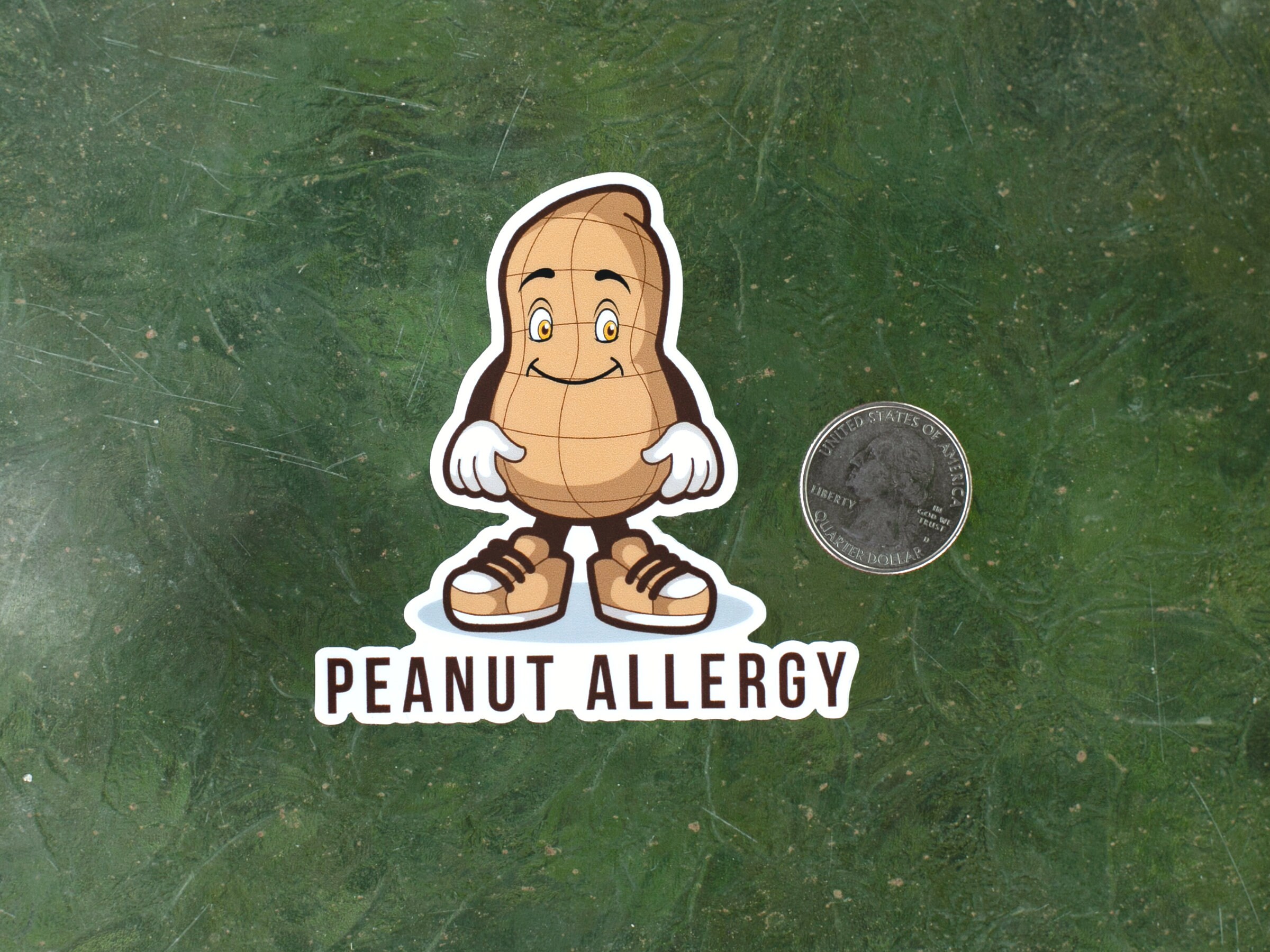 Eanut Sticker Peanut Allergy Sticker Peanut Intolerance Peanut Sensitivity Food ...