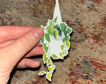 Hanging Plant Sticker, Pothos Plant Sticker, Summer Sticker, Plant, Vinyl Sticker, Waterproof, Laptop Sticker, Water bottle Sticker, Die-cut