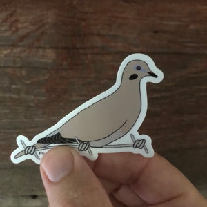 Morning Dove Sticker