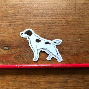 Brittany bird dog sticker
