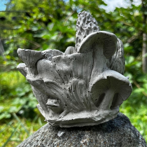 Mushroom Planter |Container |flower pot| bust| Frog| Morals| mythology| cement| plant lover| Hand Made| Sculpture|  Fairy Circle |