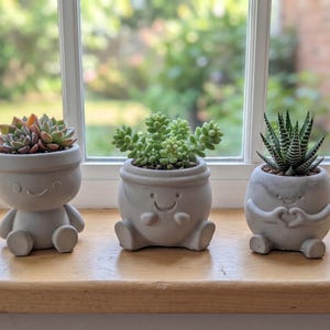 May include: Three gray concrete planters shaped like small figures with smiling faces. The left planter holds a rosette succulent, the center planter contains a light green sedum, and the right planter features a striped haworthia succulent.