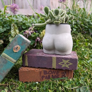 Booty Planter (Pot) Face Pot, Behälter, Blumentopf, Büste, Skulptur Mythologie Zement, Pflanzenliebhaber, Frauengesicht, Skulptur, Goddess Planter