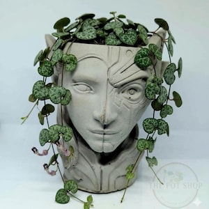 May include: A gray concrete planter shaped like a face, with a detailed design on one side. The planter is filled with a string of hearts plant, featuring green heart-shaped leaves with white speckles. The plant's vines cascade down the sides.
