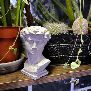 David Greek Planter (Pot) Face Pot, Behälter, Blumentopf, Büste, Skulptur Mythologie Zement, Geschenk für Pflanzenliebhaber