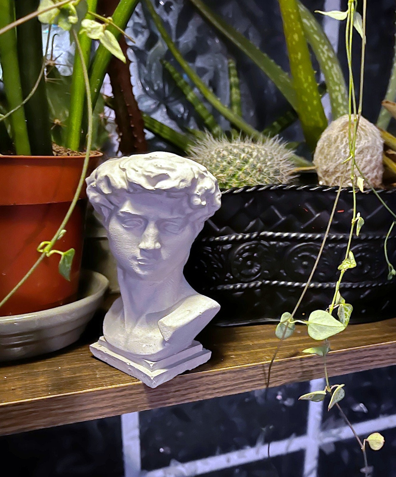 David Greek Planter (Pot) Face Pot, container, flower pot, bust, sculpture mythology cement, stocking stuffer for plant lover