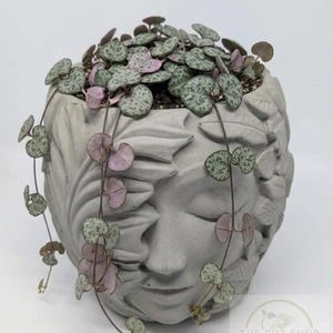 May include: A white ceramic mug with a black handle and the text "But First, Coffee" in a black, handwritten-style font. The mug is on a white surface.