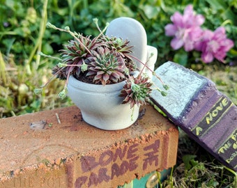 May include: A small, gray, toilet-shaped planter with a succulent plant growing inside. The planter is sitting on a brick with the words "Bone Parade" written on it. A purple book with the words "A Novel" written on it is sitting on a brick behind the planter.