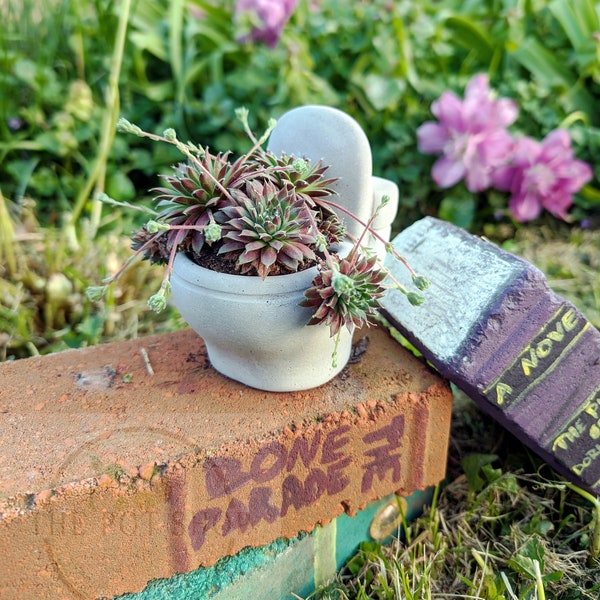 Toilet Pot | Planter| Succulent| Cactus | String of Pearls | Pot| Cute Planter | Flower Pot | Mothers Day | Unique Garden Pot | House plant