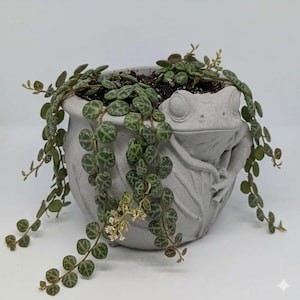 Dold groda-planter | Behållare | blomkruka | byst | Groda | Moral | mytologi | cement | växtälskare | Handgjord | Skulptur | Älvcirkel | Padda