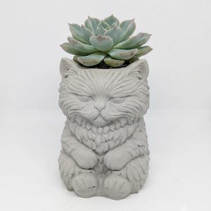 Peut inclure: Un pot de fleurs en béton gris clair en forme de chat assis avec une texture de fourrure détaillée et des oreilles pointues. Une plante succulente vert pâle aux feuilles pointues serrées est placée dans l'ouverture supérieure du pot.