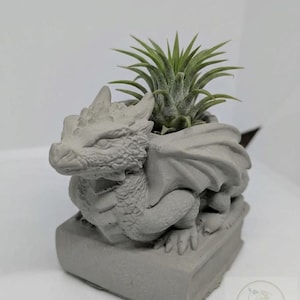 Peut inclure: Un pot de fleur en béton gris en forme de dragon tenant une plante aérienne verte. Le dragon est assis sur un livre et présente des écailles et des ailes détaillées. Un objet décoratif unique.