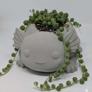 Axolotl Pot| Planter| Succulent| Cactus| String of Pearls| Pot| Cute Planter| Flower Pot| Mothers Day| Unique Garden Pot| House plant|Mini