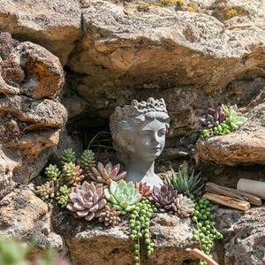 Lithic Empress (Pot) Face Pot, container, flower pot, bust, sculpture mythology cement, plant lover, womens face, sculpture, Goddess Planter