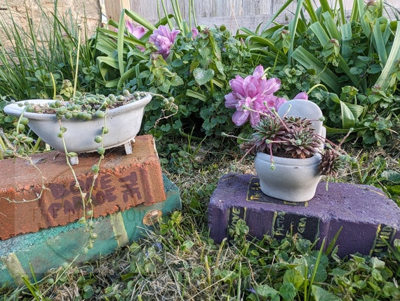 Bathtub Pot | Planter| Succulent| Cactus | String of Pearls | Pot| Cute  Planter | Flower Pot | Mothers Day | Unique Garden Pot | House Plant - Etsy