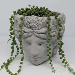 以下が含まれることがあります： 女性の頭の形をした灰色のコンクリートプランター。土とグリーンネックレスの植物が入っています。プランターには、詳細な花の装飾と顔の特徴があります。グリーンネックレスの植物は、小さくて丸い緑色の葉を持っています。