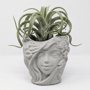 May include: A light gray concrete planter shaped like a human face with closed eyes and a serene expression. The planter features embossed details including stars, clouds, and a rainbow on the sides. A green air plant sits inside the top opening.