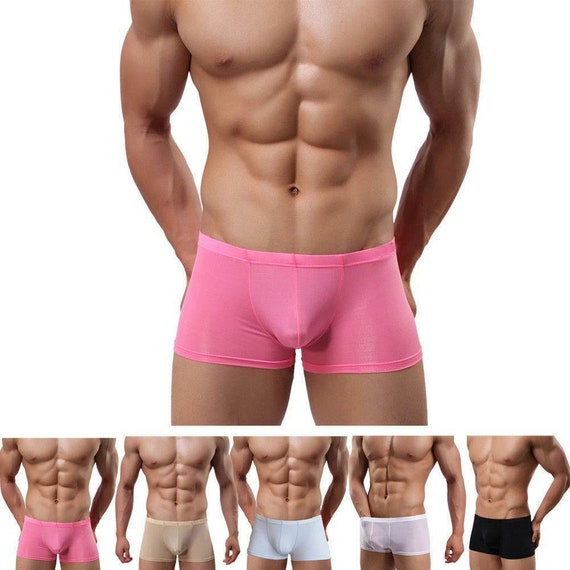 Men's Ultra Thin Silky Semi-transparent Boxer Shorts Ice Silk Stretch Hot  Lingerie Underwear for Him Pants Briefs Sexy Fitted Tight Boxers 