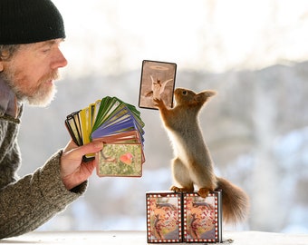 The squirrel oracle / tarot photo card deck (66 cards) + e-book