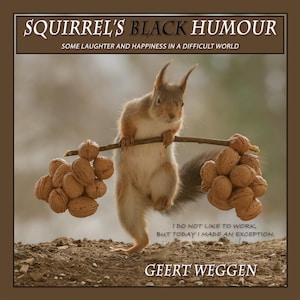 May include: A humorous image features a squirrel balancing a branch laden with walnuts. The text reads "SQUIRREL'S BLACK HUMOUR" and "SOME LAUGHTER AND HAPPINESS IN A DIFFICULT WORLD." Below, it says "I DO NOT LIKE TO WORK, BUT TODAY I MADE AN EXCEPTION."