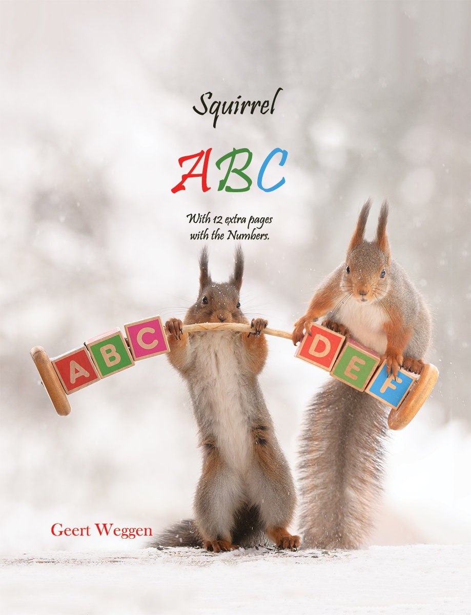 Squirrel ABC Photo Book - Etsy
