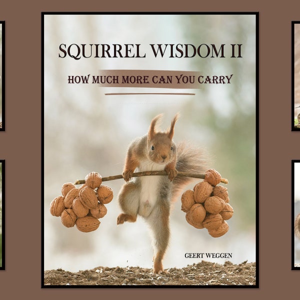 Squirrel Wisdom II book with photos of the red squirrel