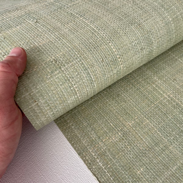 Natural Grasscloth Raffia rough Wallpaper Natural fibers with gray and cold beige to light greenish color 45019