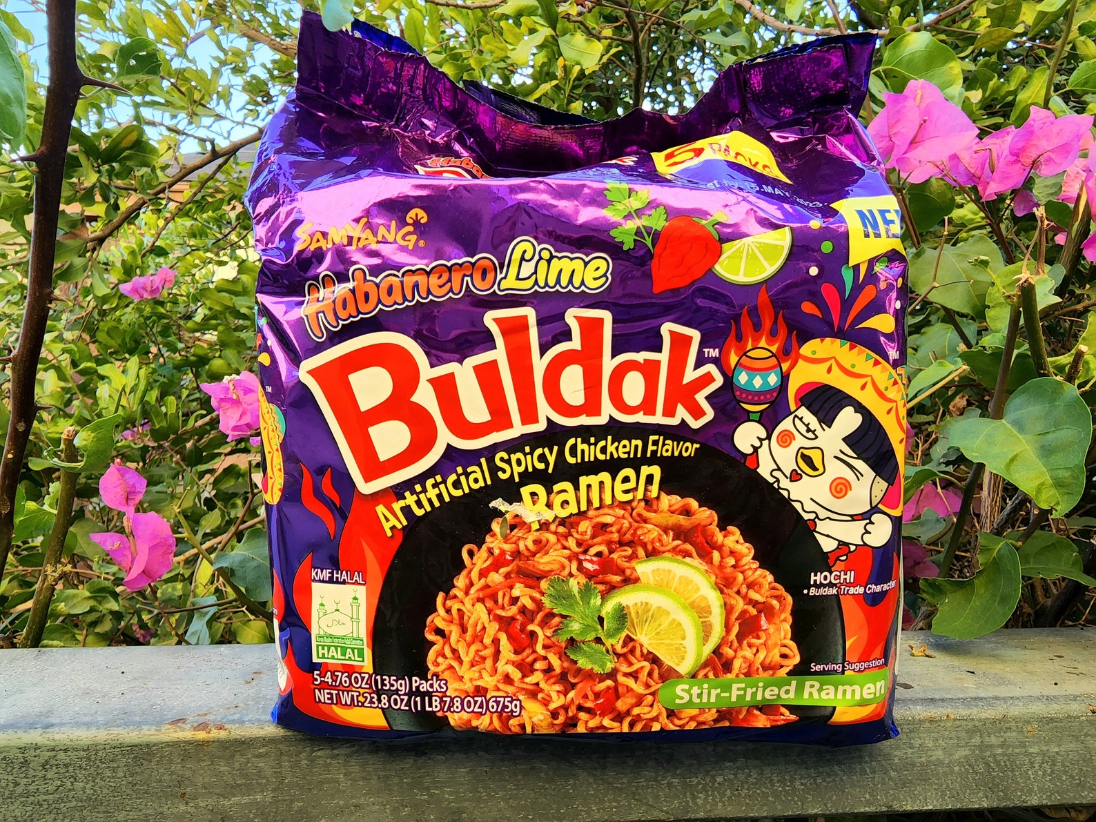 Habanero Lime Buldak Stir Fried Spicy Ramen pack of 5 Etsy