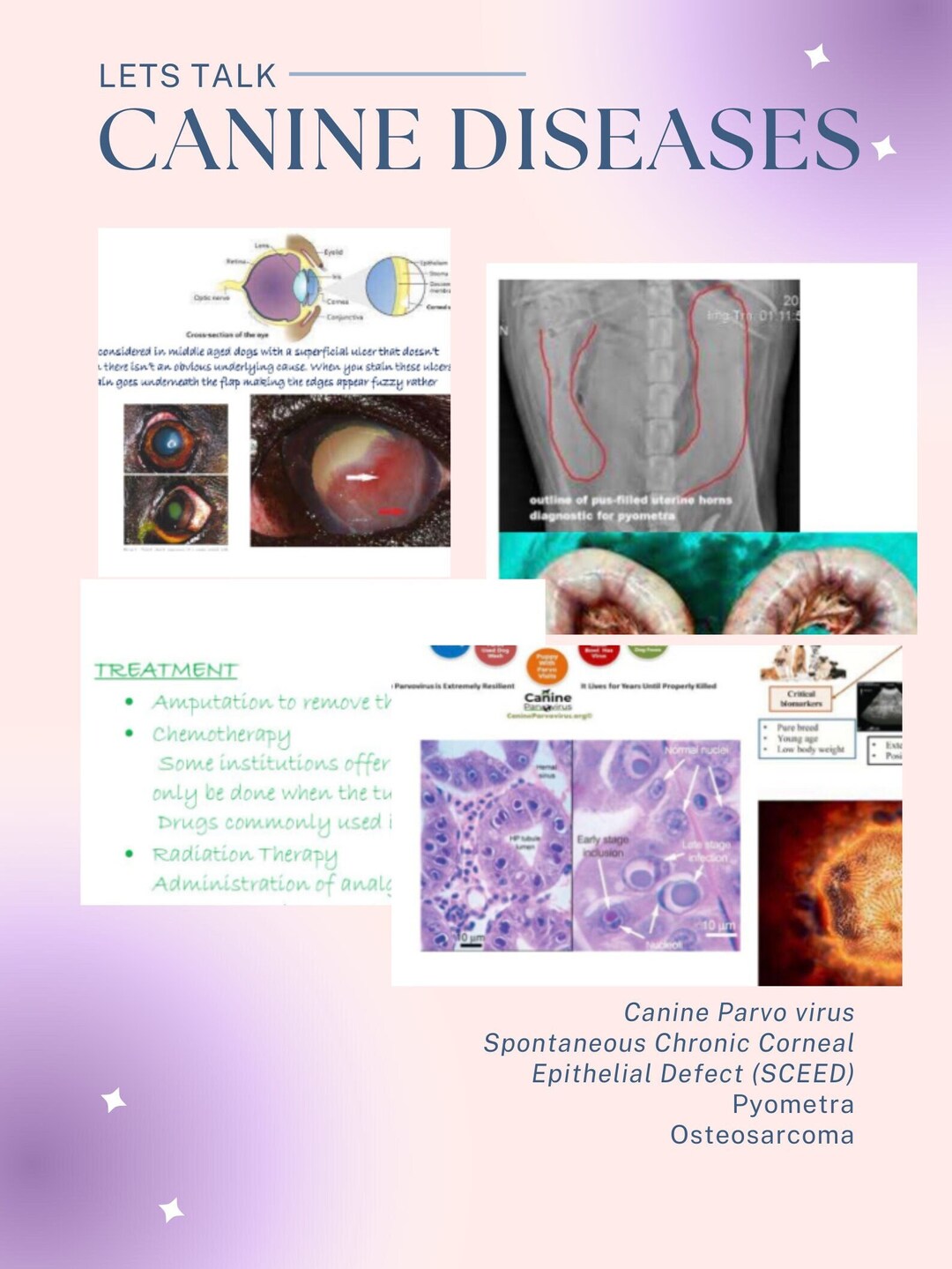 CANINE DISEASES Etsy