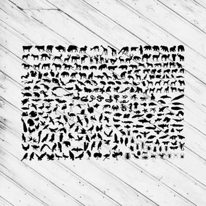 Può includere: Immagini in silhouette in bianco e nero di vari animali, tra cui mammiferi, uccelli, rettili, anfibi, pesci e insetti. Le immagini sono disposte in una griglia.