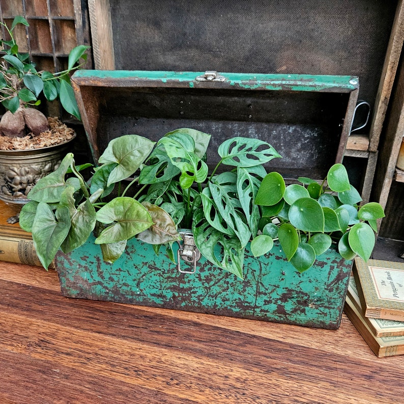 Vintage Industrial Toolbox, Rustic Storage Box, Old Green Toolbox image 2