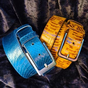 May include: Two leather belts with silver buckles. One belt is a vibrant blue, and the other is a golden yellow. Both belts have a textured, snakeskin-like pattern, and are displayed on a dark, velvety surface.