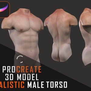 May include: A 3D model of a male torso, rendered in Procreate. The model is shown from the front, back, and side views. The torso is muscular and detailed, with realistic skin texture.