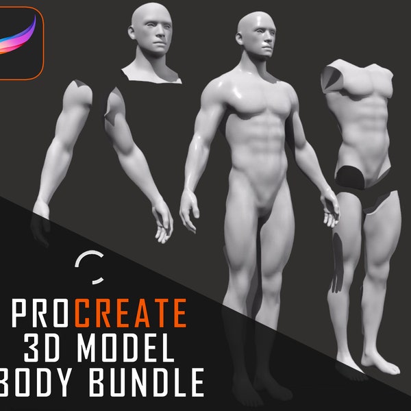 Procreate 3D Model | Body bundle | Male