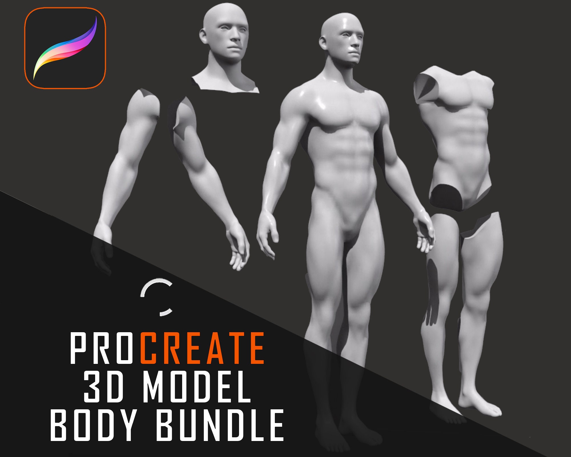 Procreate 3D Model Body Bundle Male - Etsy