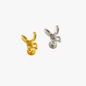 Può includere: Due piercing labret con un design a forma di testa di coniglio. Un perno ha una finitura color oro lucido, mentre l'altro presenta una finitura color argento lucido. Ogni pezzo include una base circolare piatta e una parte anteriore a forma di coniglio.