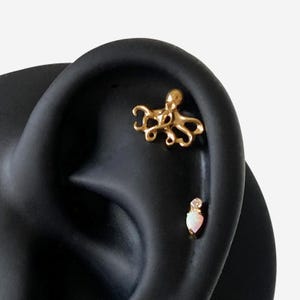 16G titan bläckfisk broskpiercing, unikt helixörhänge, edgy insektssmycken, titanöring, iögonfallande öronpiercing - 01 1