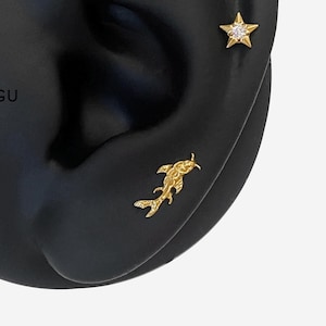 16G Titanium Koi Fish Flat Back Studs, Nose stud, Internally Threaded conch earring, Cartilage stud, Helix earring, Tragus, Piercing - 01 3