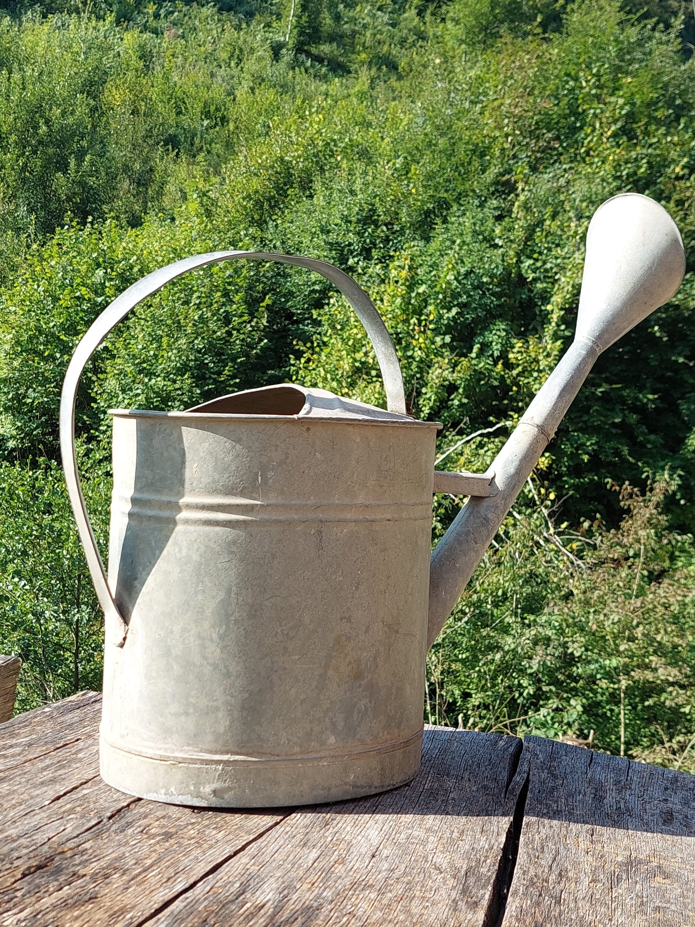WEQUALITY Copper Watering Can for Outdoor&Indoor Plants，1 Gallon Metal Plant Watering Can,Galvanized Steel Gardening Tool，Antique Copper Colored. 