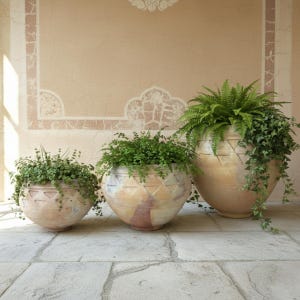 May include: Three round, light-coloured terracotta planters of varying sizes, each featuring a horizontal band of incised triangular patterns. The planters are filled with lush green foliage, including ferns and trailing ivy, creating a layered display.